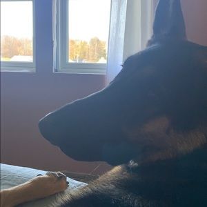 Meet your Posher, Hayli